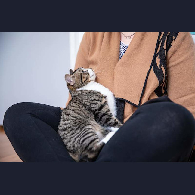 Photo of Maisie