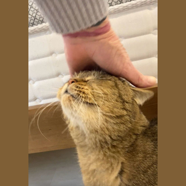 Photo of Big Boy