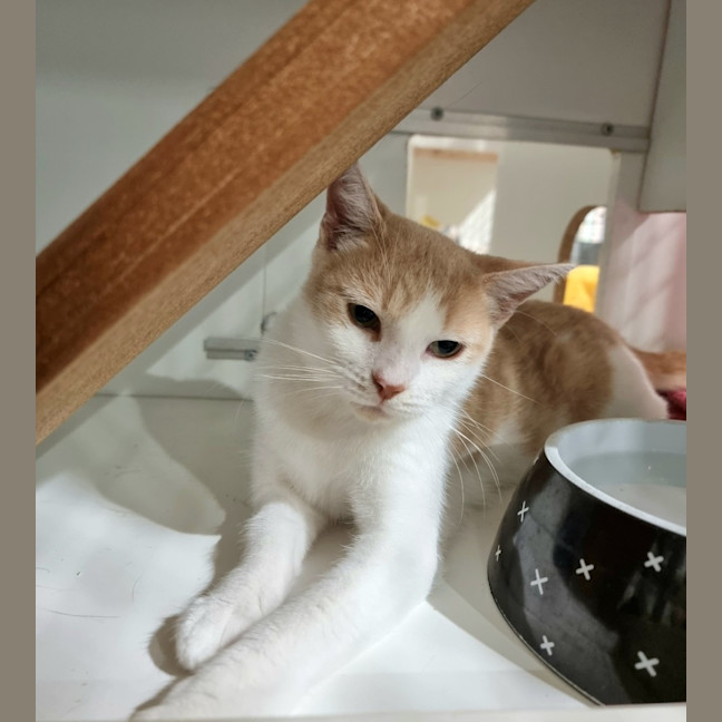 Photo of Sandy