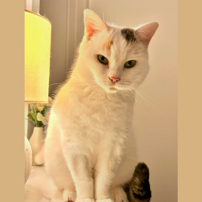 Photo of Blanquita