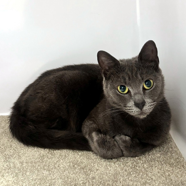 Photo of Cleo Sua015077