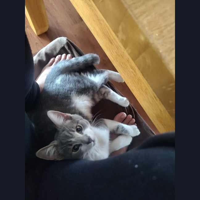 Photo of Timmy