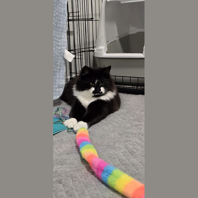 Photo of Mrs Tux