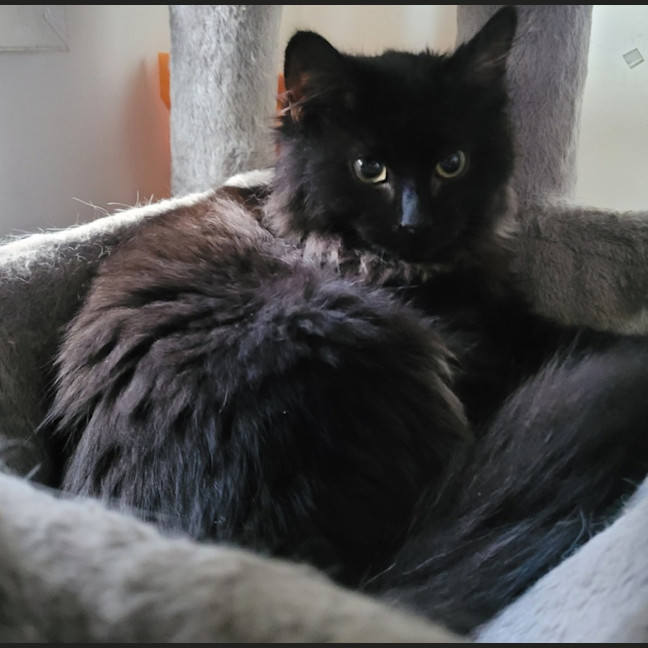 Photo of Kassidy