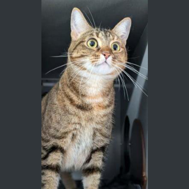 Photo of Sophie
