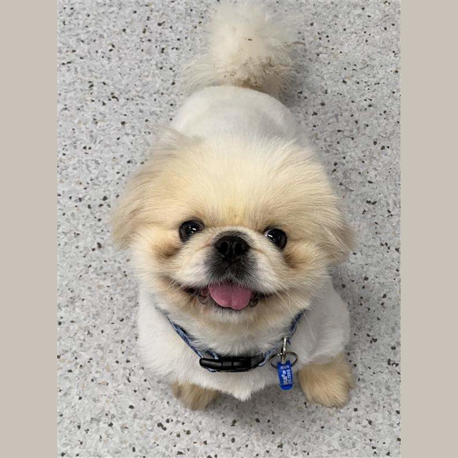 Photo of Snowy