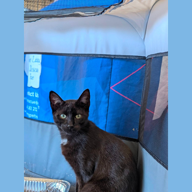 Photo of Xenon
