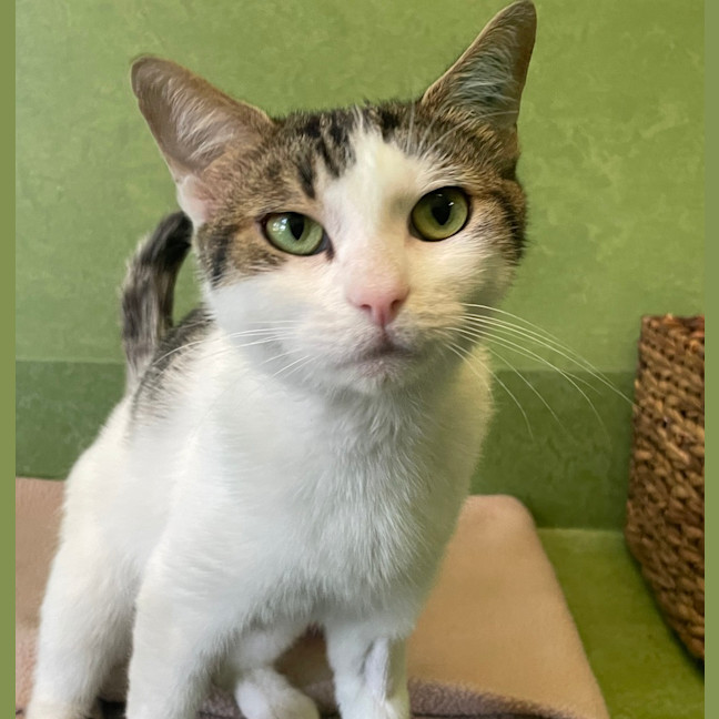 Photo of Princess Charlotte