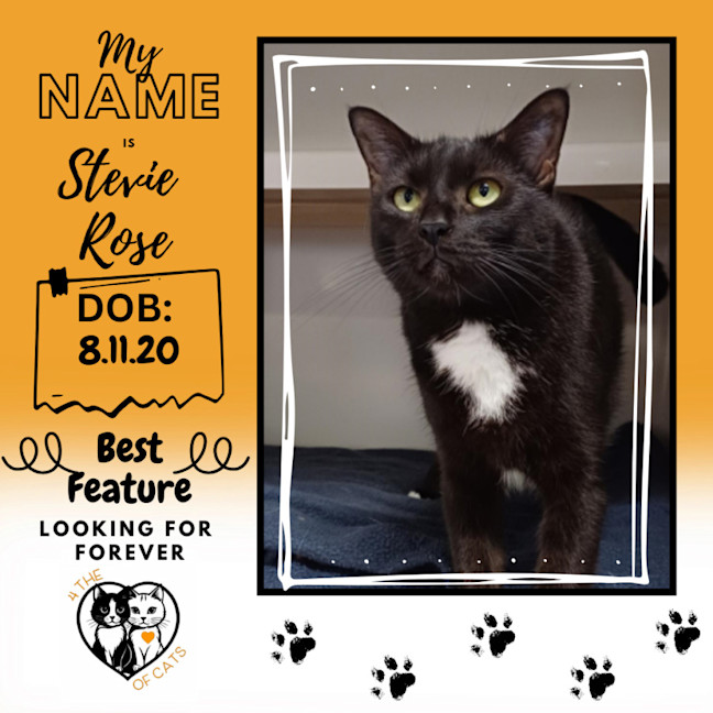 Photo of Stevie Rose