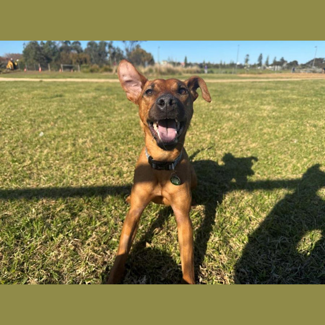 Photo of Missy Peggotty