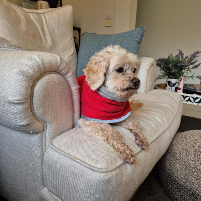 Photo of Lola Silvanus