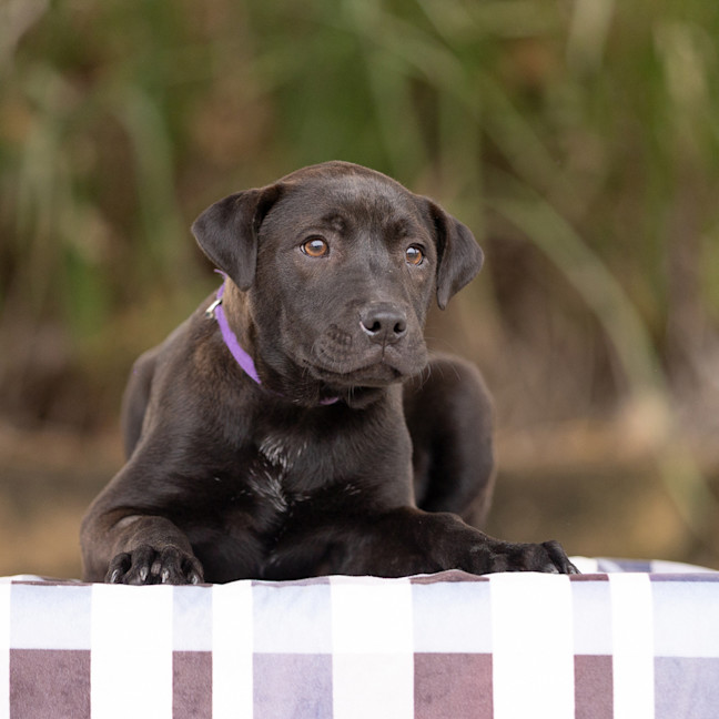 Photo of Malcom