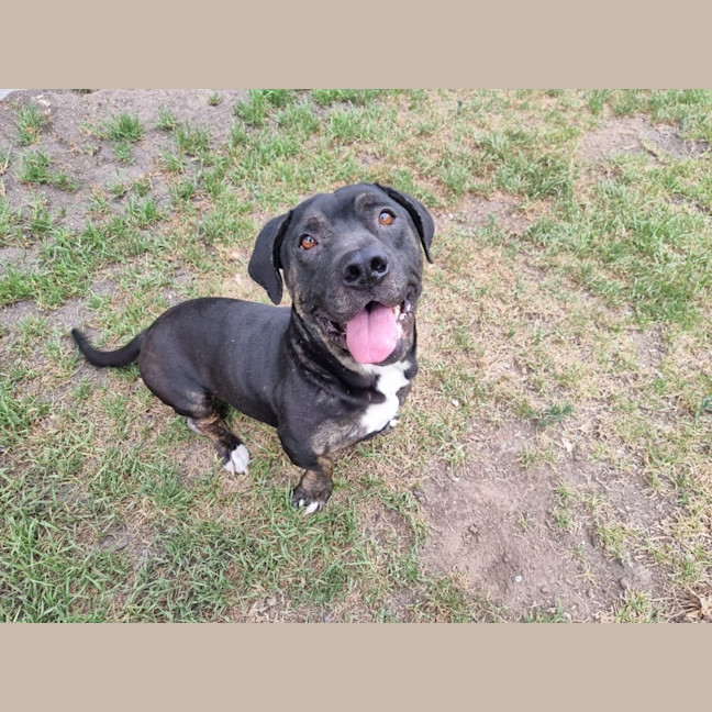 Photo of Fred Imp 2407