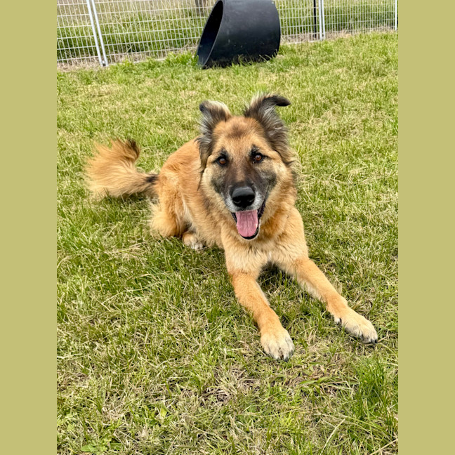 Photo of Bess