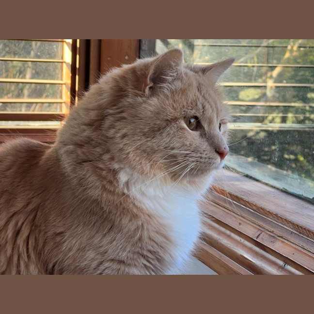 Photo of Ricardo Silvanus