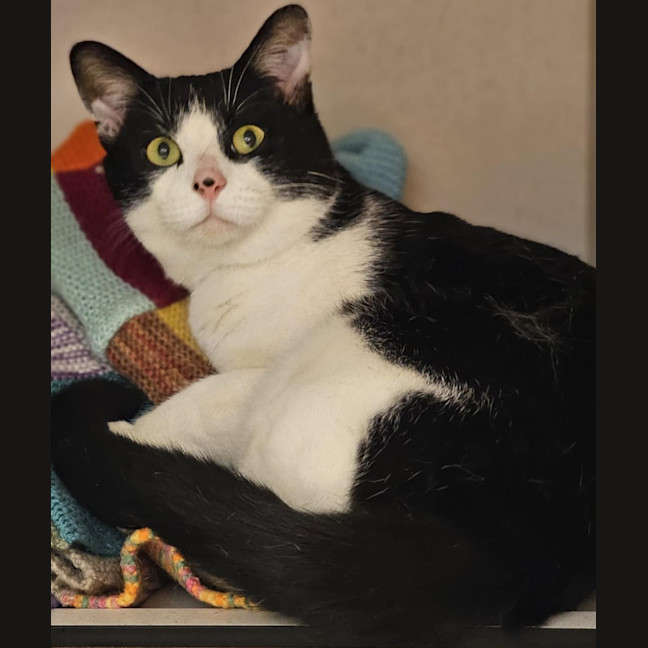 Photo of Frank