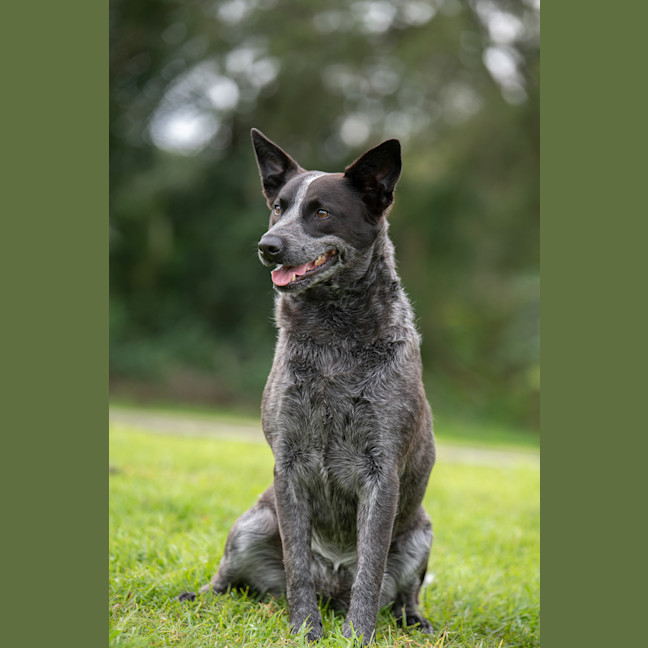 Photo of Tia