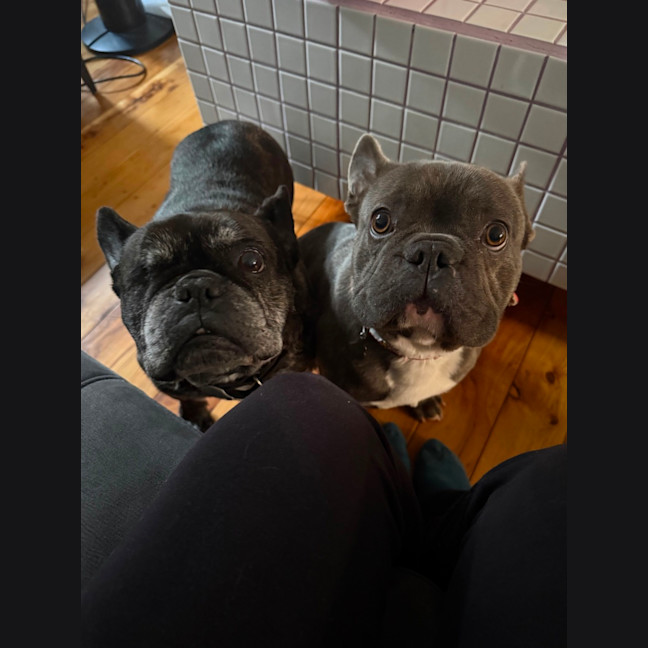 Photo of Hugo