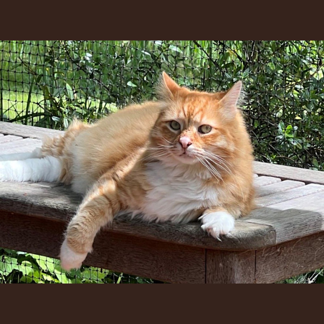 Photo of Griffin Nightingale