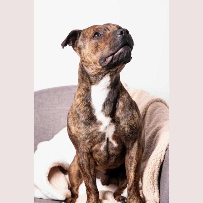 Photo of Max