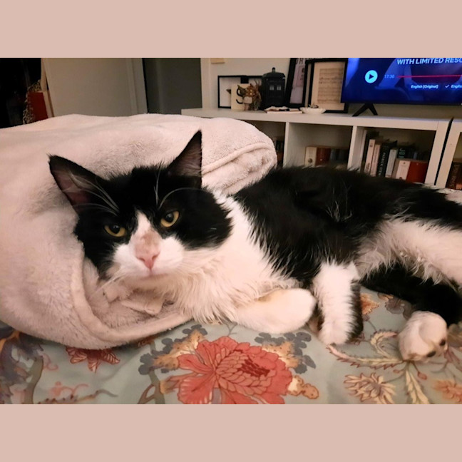 Photo of Dudley Kumara