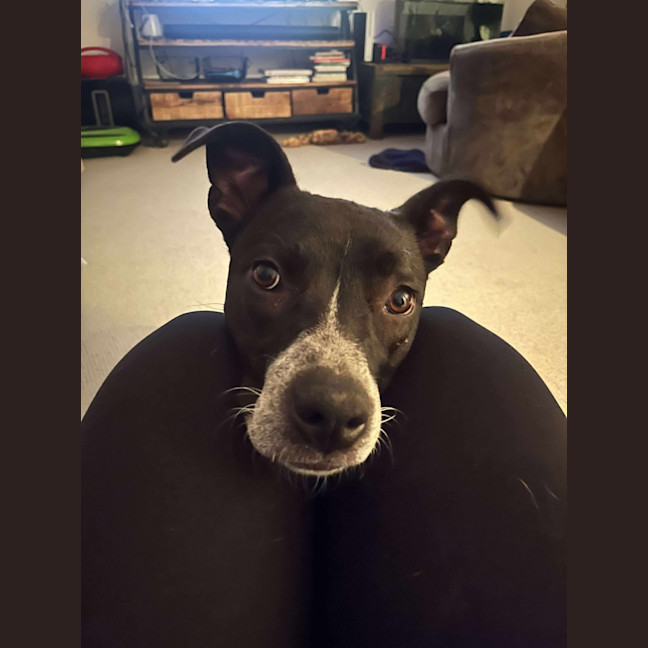Photo of Maggie