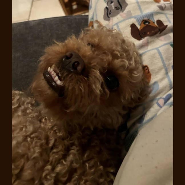 Photo of Bonnie