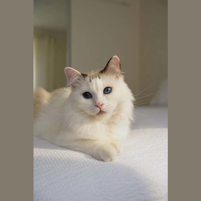Photo of Tilly