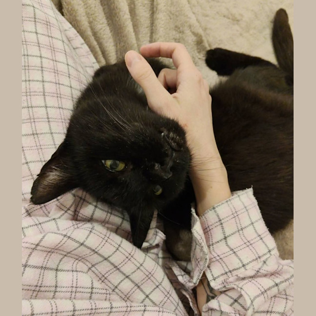 Photo of Shadow