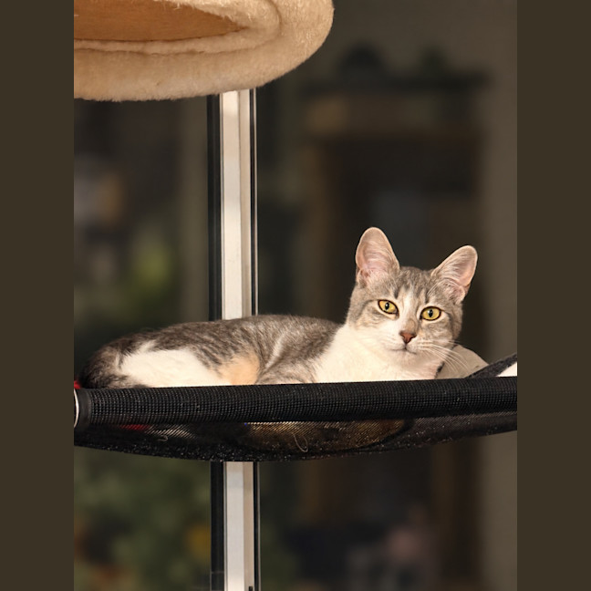 Photo of Janie