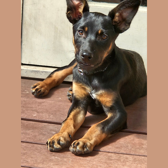 Photo of Ellie