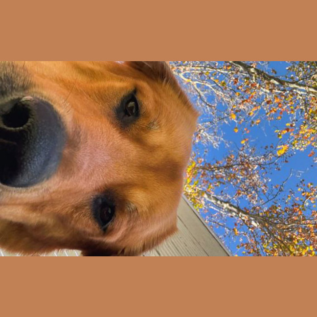Photo of Clifford