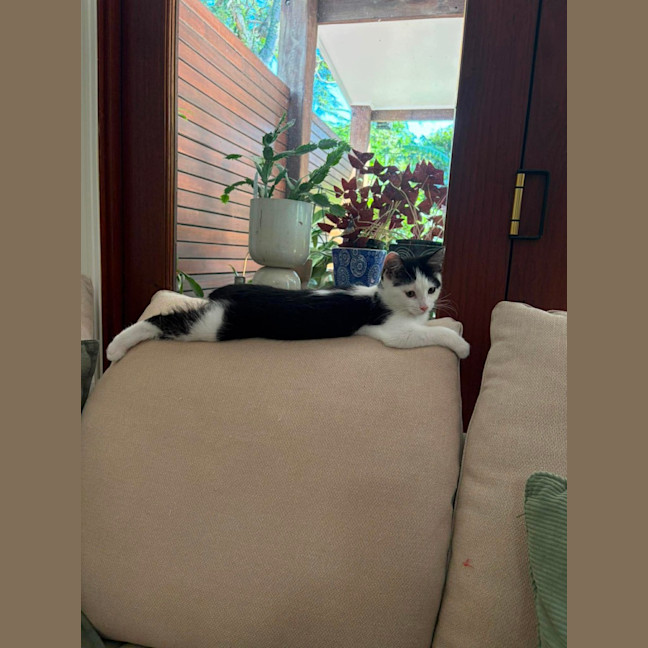 Photo of Rosie
