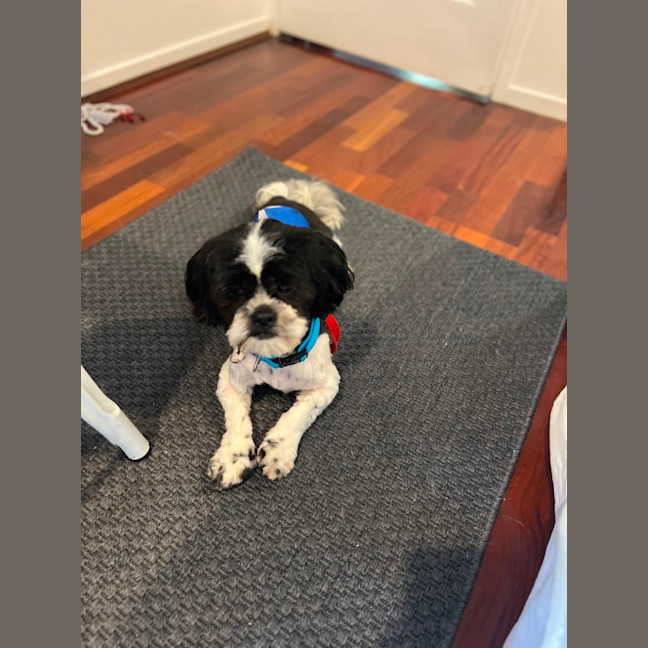 Photo of Hairy Mac Clary 