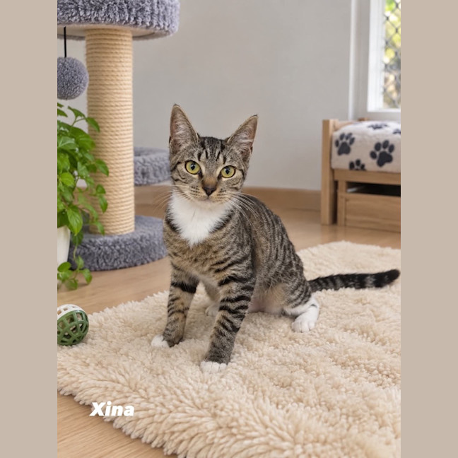 Photo of Xina