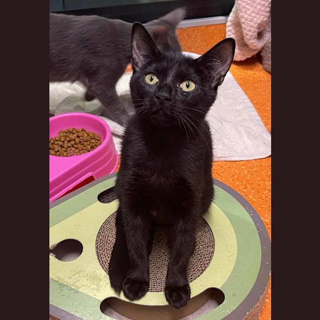 Photo of Wednesday