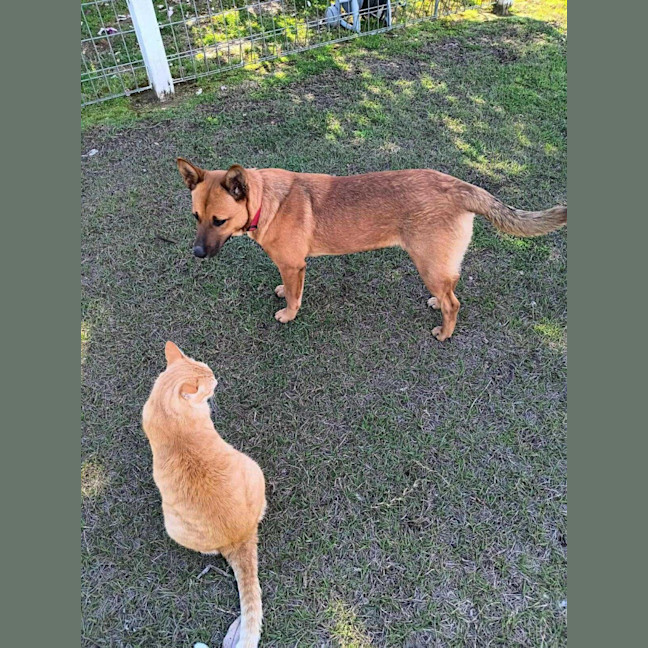 Photo of Red 