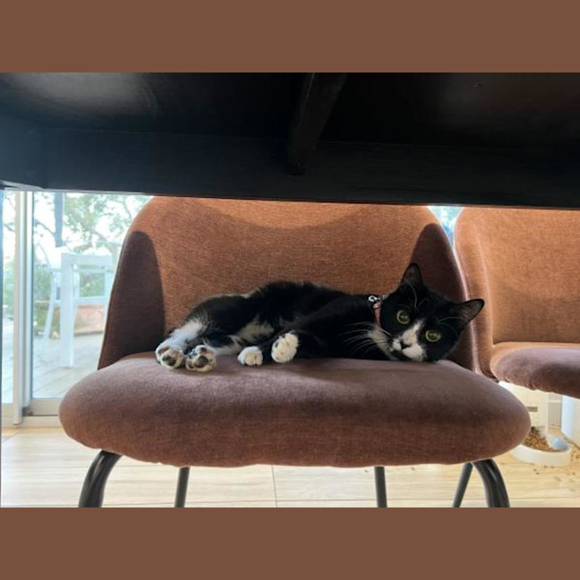 Photo of Sam