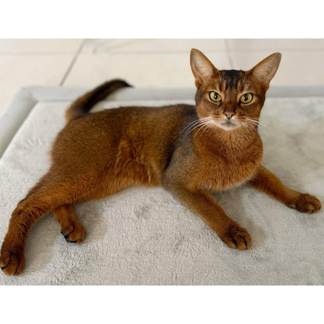 Photo of 13142   Effie 