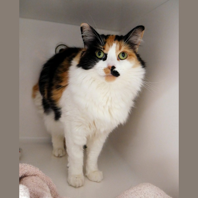 Photo of Lily Rstk009517