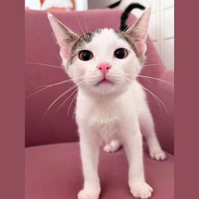 Photo of Sugar