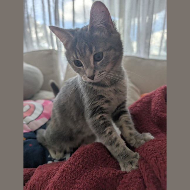 Photo of Smokin 🔥