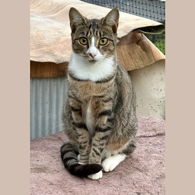 Photo of Milly