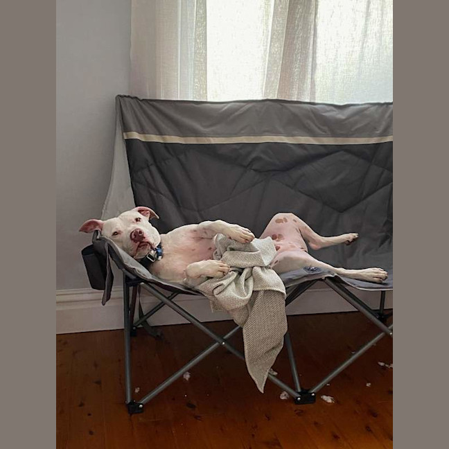 Photo of Ghost