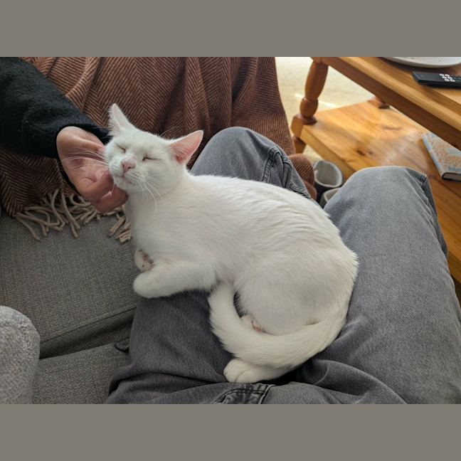 Photo of Cloud