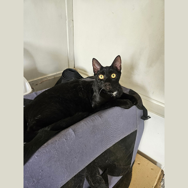 Photo of Clawdia