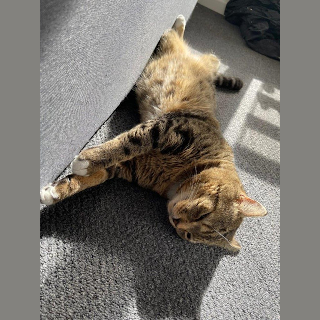 Photo of Bryant Russelton