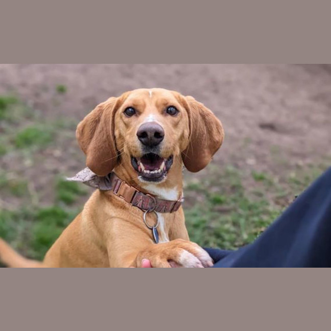 Photo of Luna