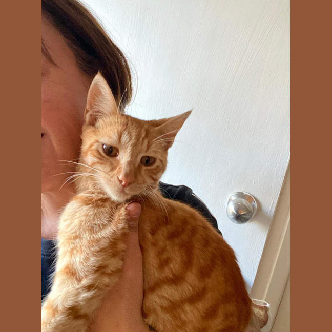 Photo of Fred ** Our Angel Boy **