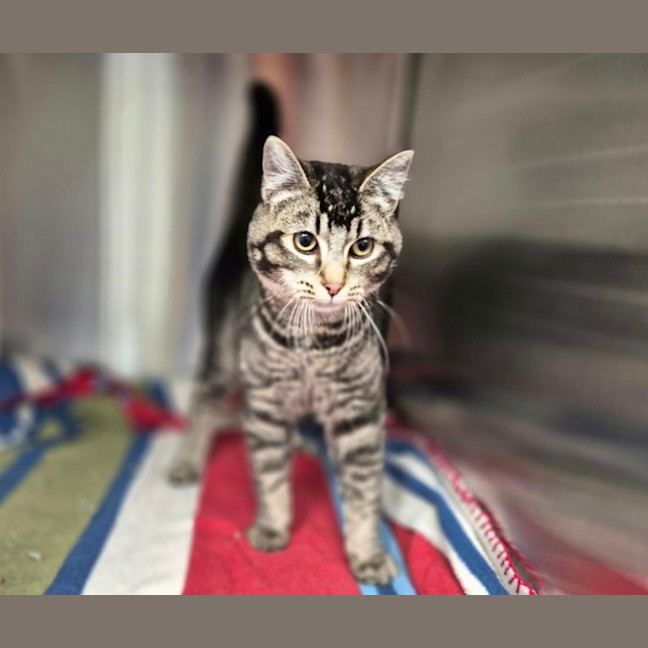 Photo of Kiki